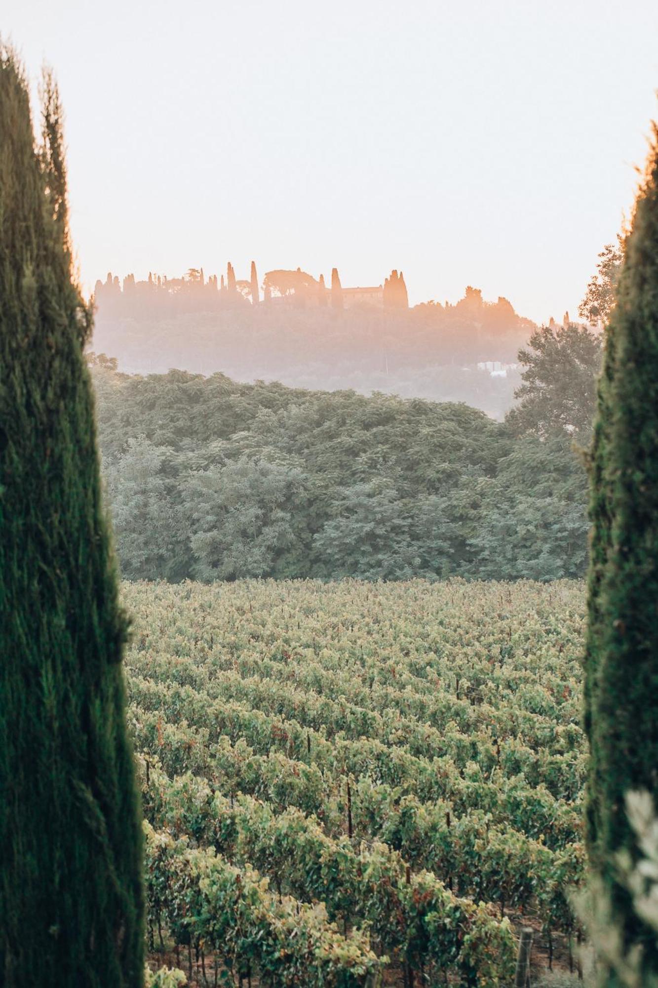 Borgo San Vincenzo Hotel Montepulciano Stazione Екстериор снимка