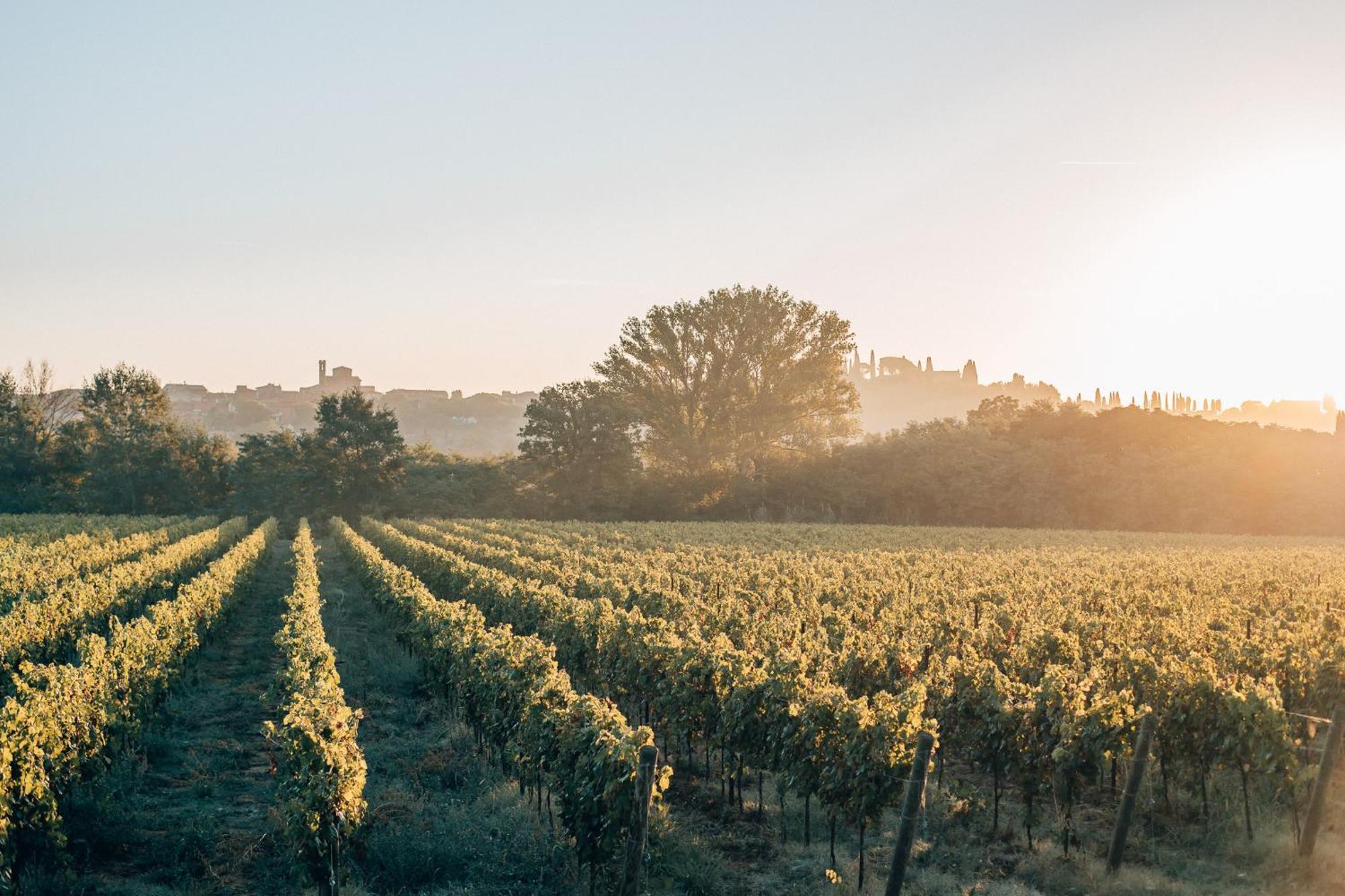 Borgo San Vincenzo Hotel Montepulciano Stazione Екстериор снимка